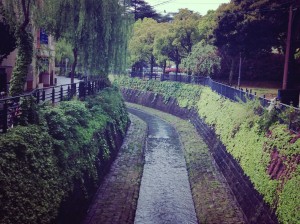 悠久の川©日本縦断ブログ