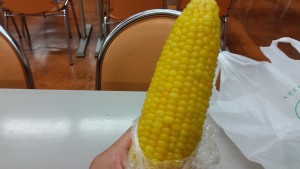 北大のとうきび。ちなみに、とうきびとは「とうもろこし」の北海道弁。