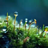 お久しぶりの更新：ひとまず近況報告